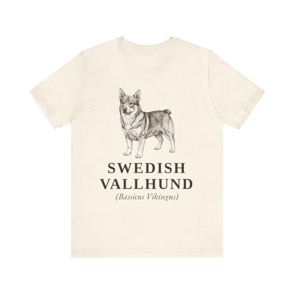 Swedish Vallhund Latin Shirt, Vintage Dog Sketch Tee, Dog Latin Gift Swedish Vallhund Latin Shirt, Vintage Dog Sketch Tee, Dog Latin Gift