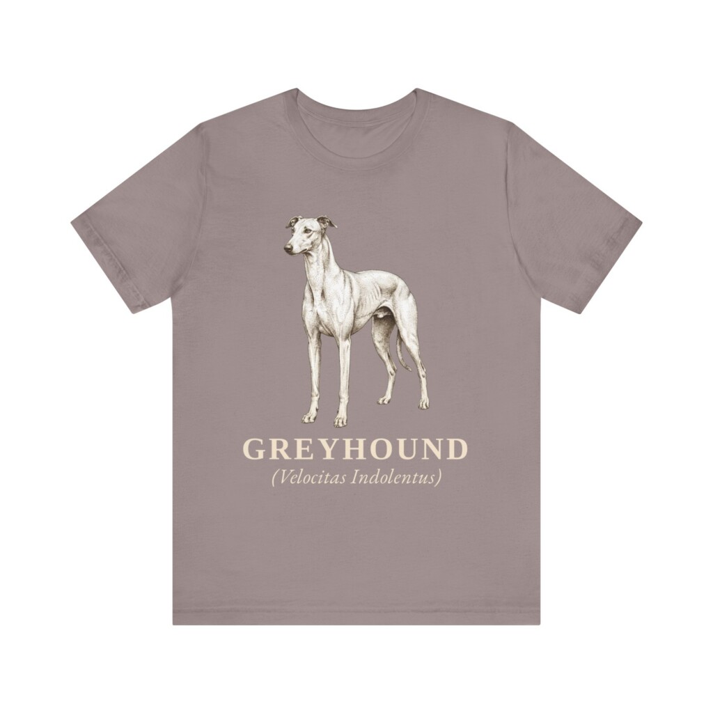 Greyhound Latin Shirt, Vintage Dog Sketch Tee, Dog Latin Gift