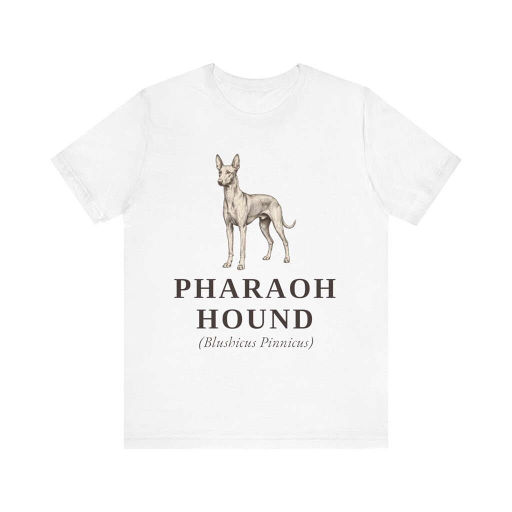 Pharaoh Hound Latin Shirt, Vintage Dog Sketch Tee, Dog Latin Gift