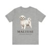 Maltese Latin Shirt, Vintage Dog Sketch Tee, Dog Latin Gift