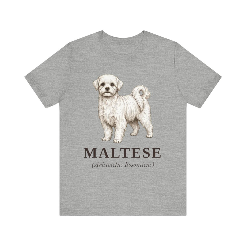 Maltese Latin Shirt, Vintage Dog Sketch Tee, Dog Latin Gift