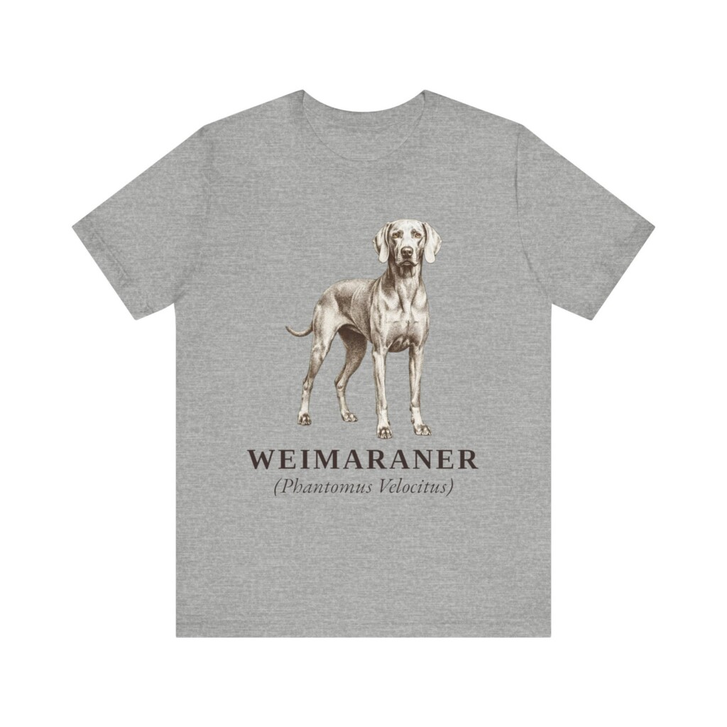 Weimaraner Latin Shirt, Vintage Dog Sketch Tee, Dog Latin Gift
