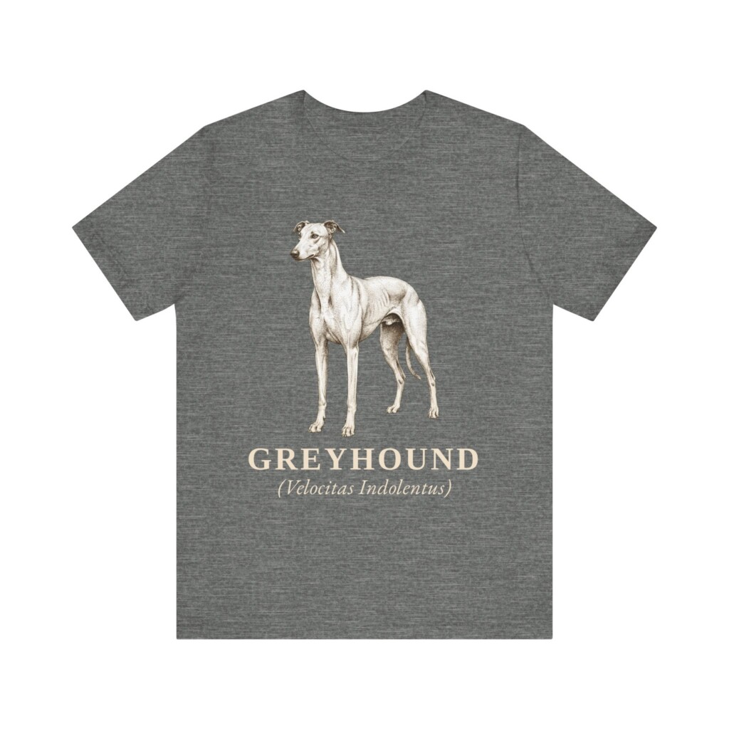 Greyhound Latin Shirt, Vintage Dog Sketch Tee, Dog Latin Gift