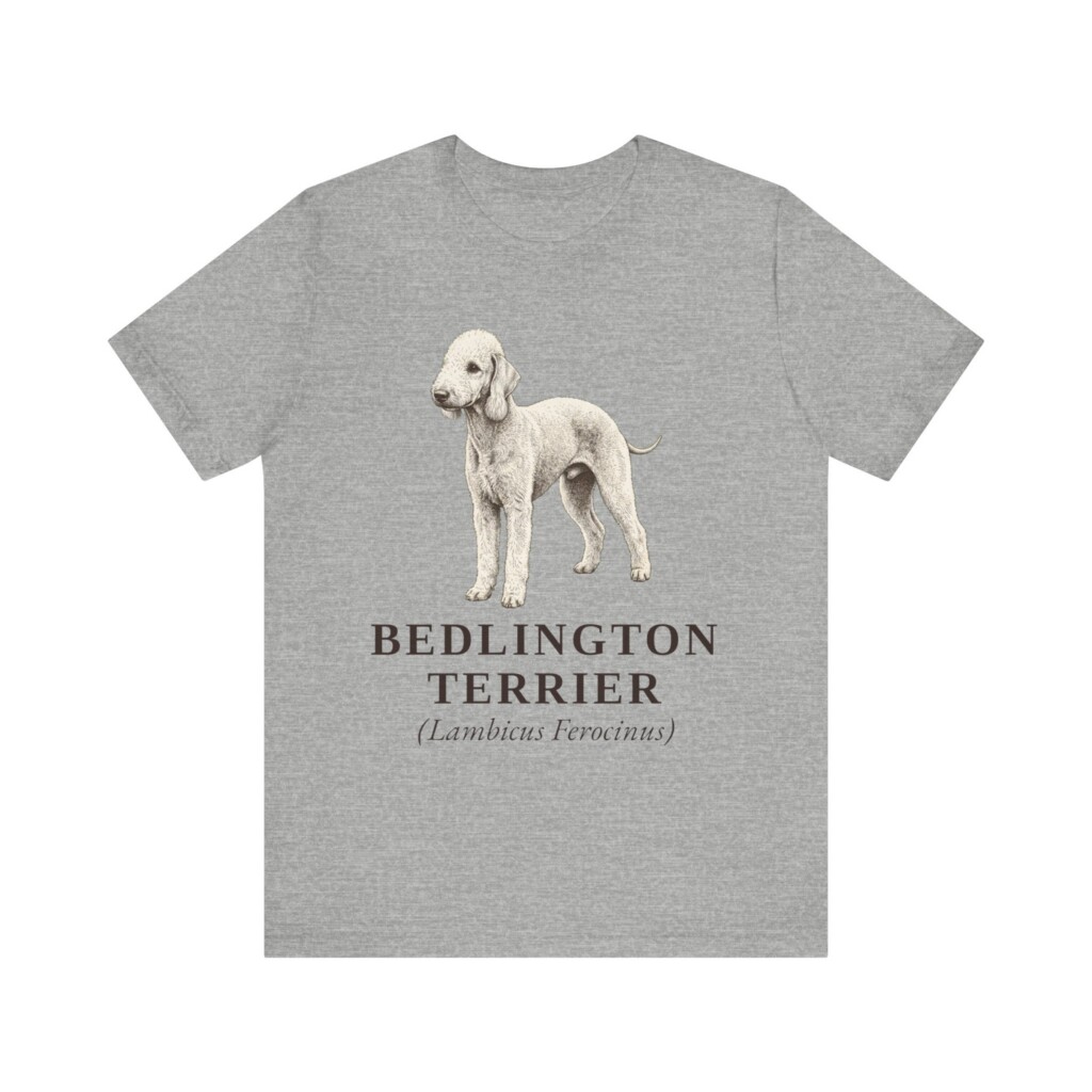 Bedlington Terrier Latin Shirt, Vintage Dog Sketch Tee, Dog Latin Gift Bedlington Terrier Latin Shirt, Vintage Dog Sketch Tee, Dog Latin Gift