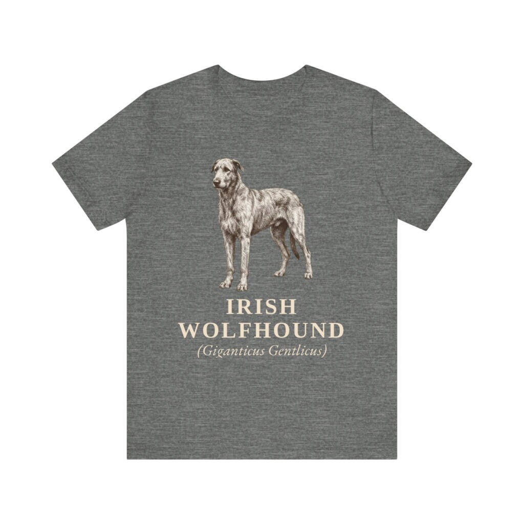 Irish Wolfhound Latin Shirt, Vintage Dog Sketch Tee, Dog Latin Gift Irish Wolfhound Latin Shirt, Vintage Dog Sketch Tee, Dog Latin Gift