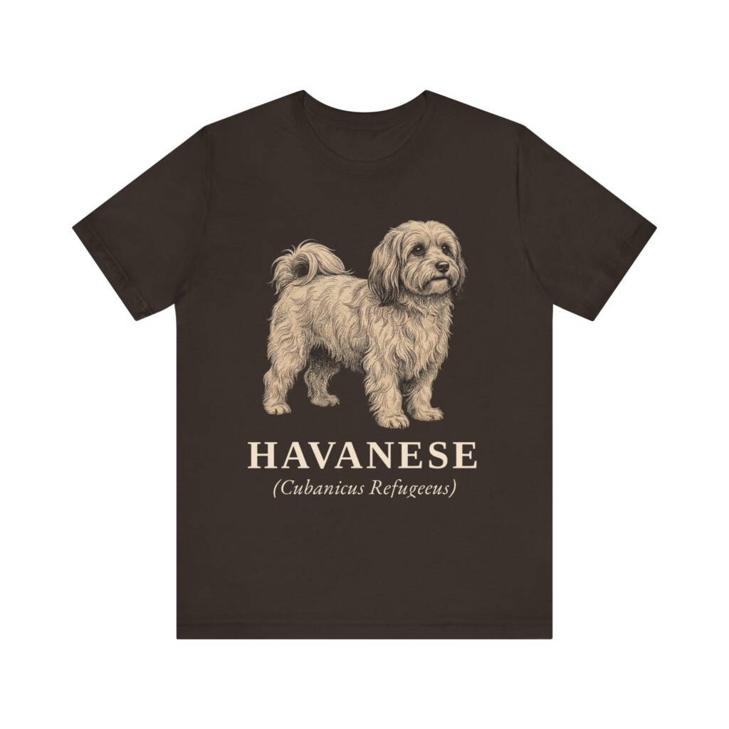 Havanese Latin Shirt, Vintage Dog Sketch Tee, Dog Latin Gift Havanese Latin Shirt, Vintage Dog Sketch Tee, Dog Latin Gift