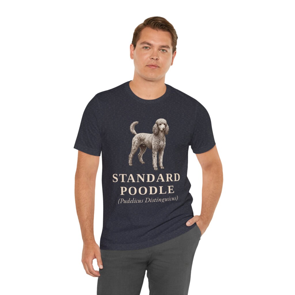 Standard Poodle Latin Shirt, Vintage Dog Sketch Tee, Dog Latin Gift