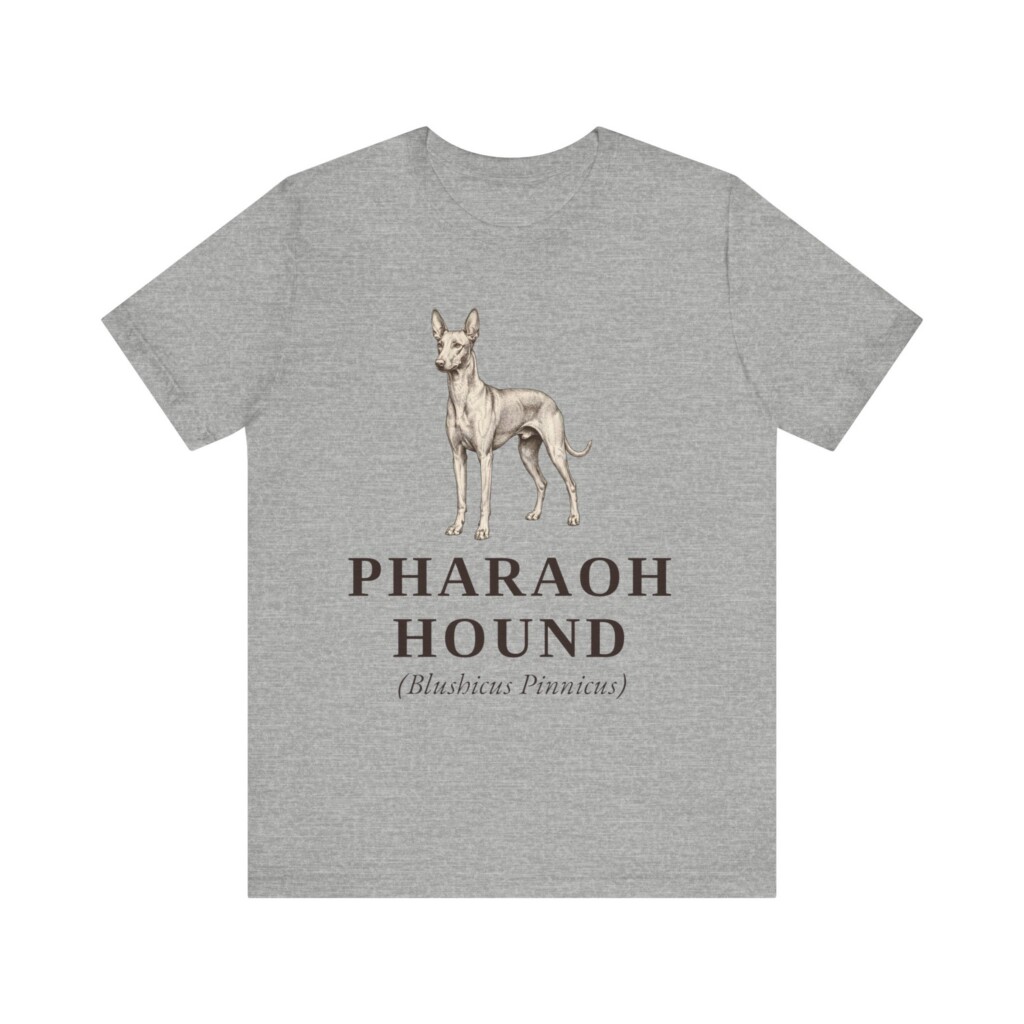 Pharaoh Hound Latin Shirt, Vintage Dog Sketch Tee, Dog Latin Gift