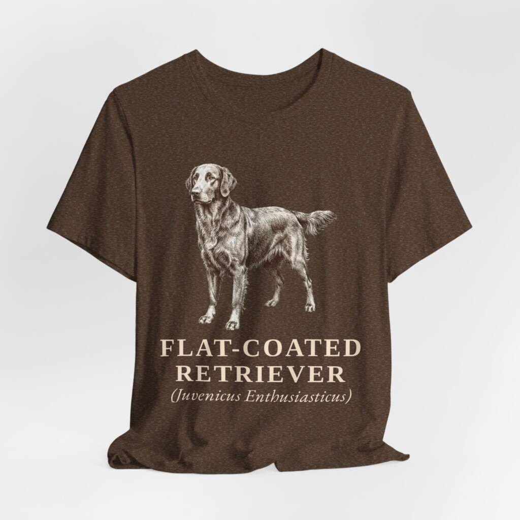 Flat-Coated Retriever Latin Shirt, Vintage Dog Sketch Tee, Dog Latin Gift