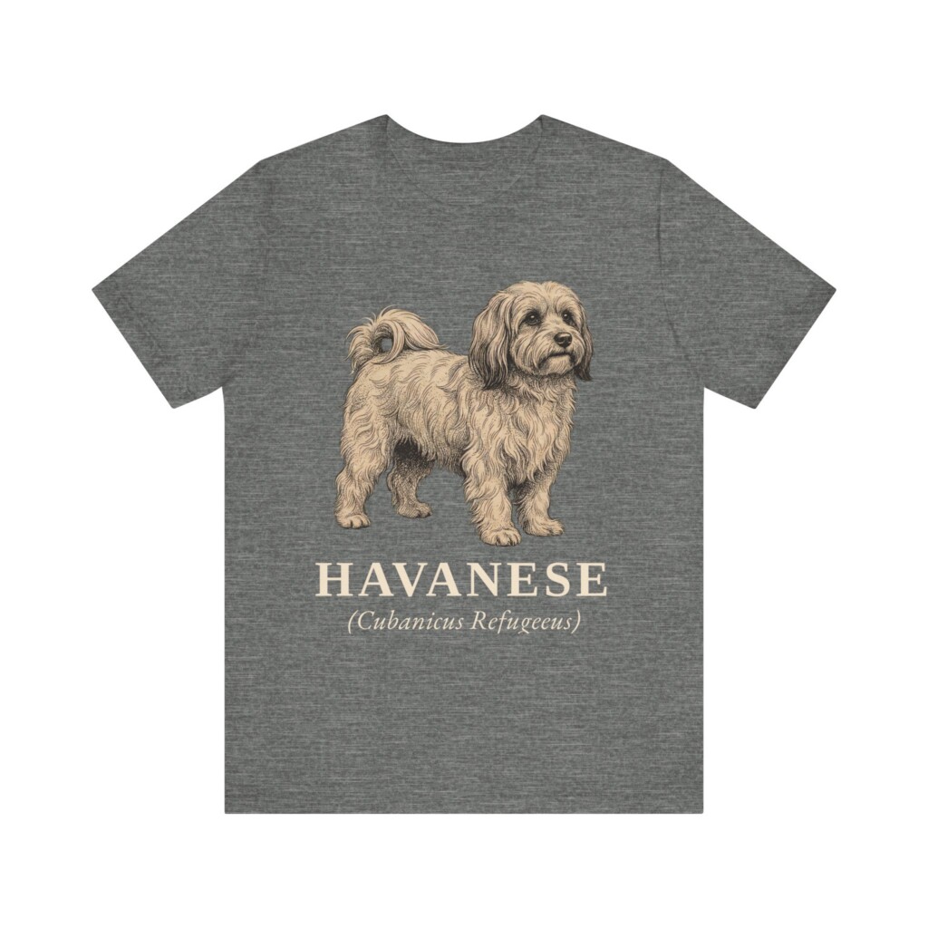 Havanese Latin Shirt, Vintage Dog Sketch Tee, Dog Latin Gift Havanese Latin Shirt, Vintage Dog Sketch Tee, Dog Latin Gift