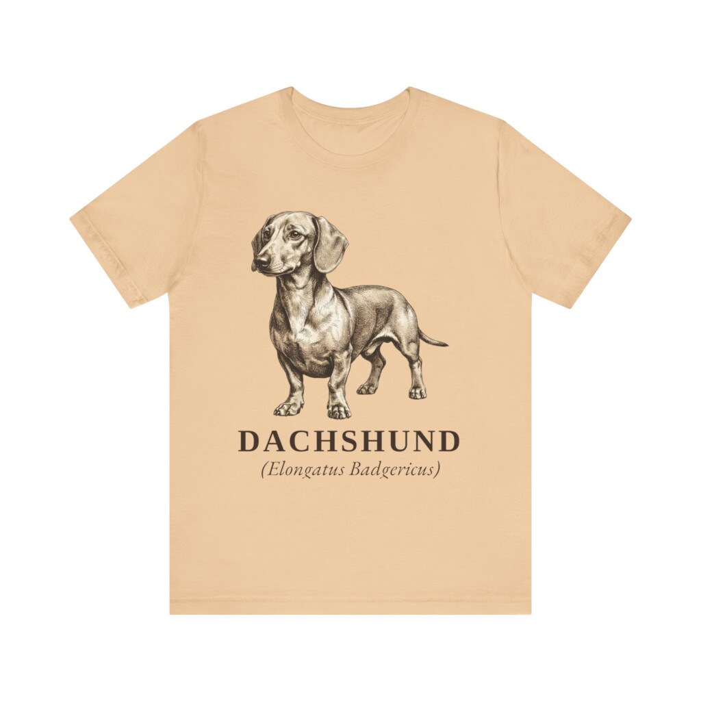 Dachshund Latin Shirt, Vintage Dog Sketch Tee, Dog Latin Gift Dachshund Latin Shirt, Vintage Dog Sketch Tee, Dog Latin Gift