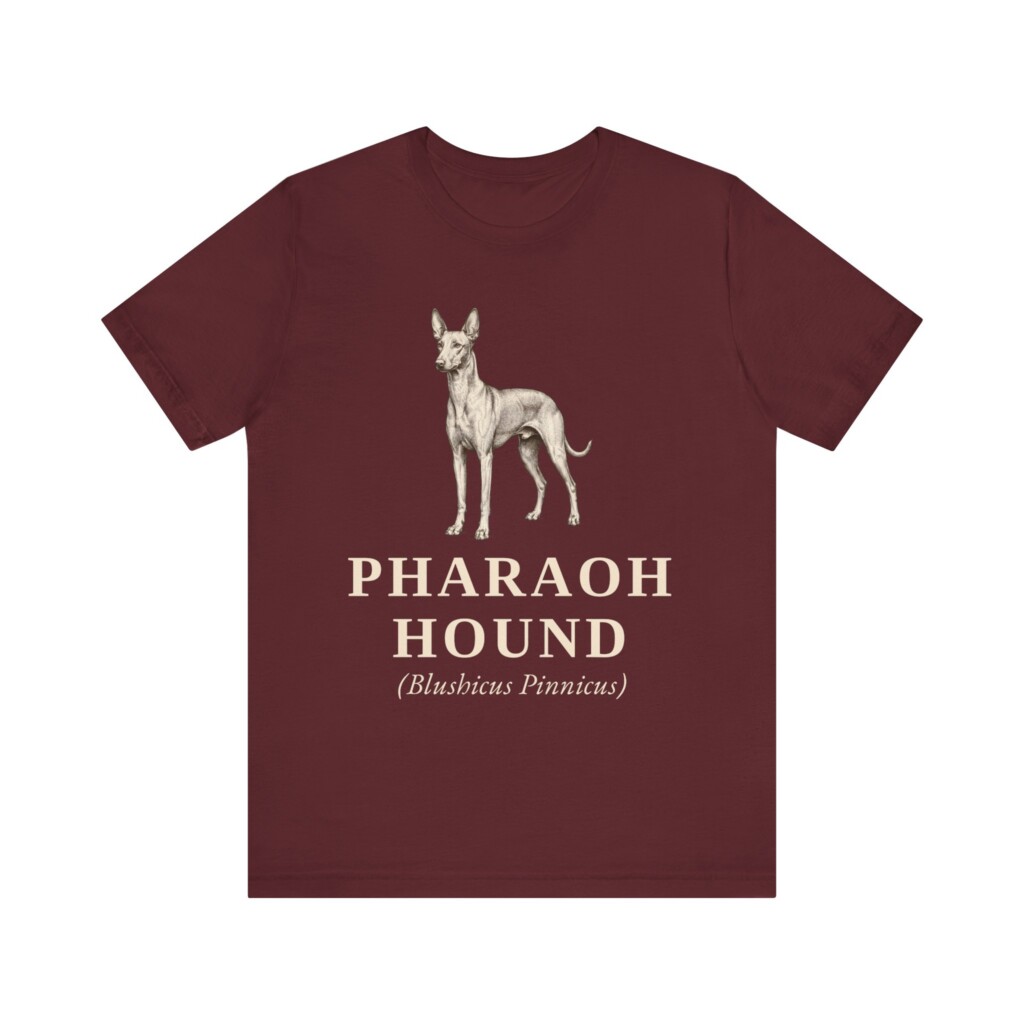 Pharaoh Hound Latin Shirt, Vintage Dog Sketch Tee, Dog Latin Gift