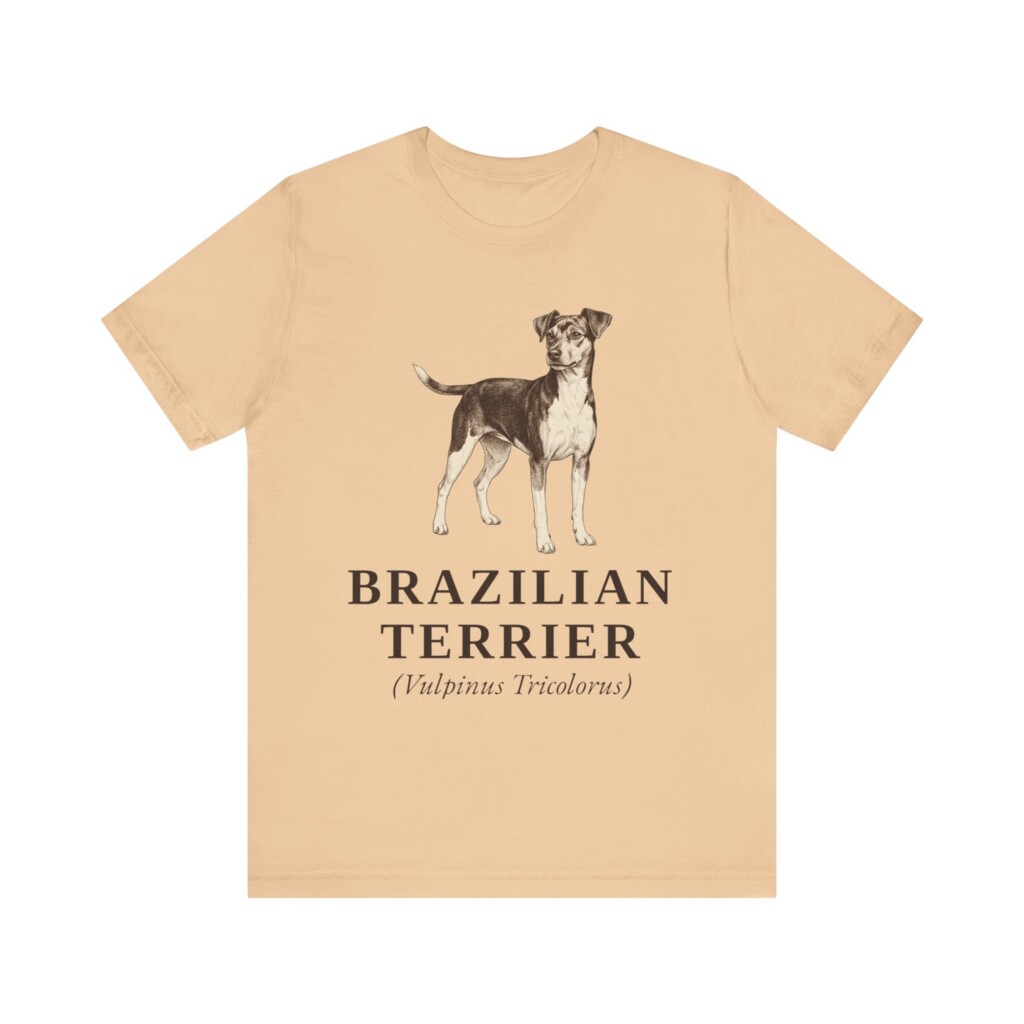 Brazilian Terrier Latin Shirt, Vintage Dog Sketch Tee, Dog Latin Gift