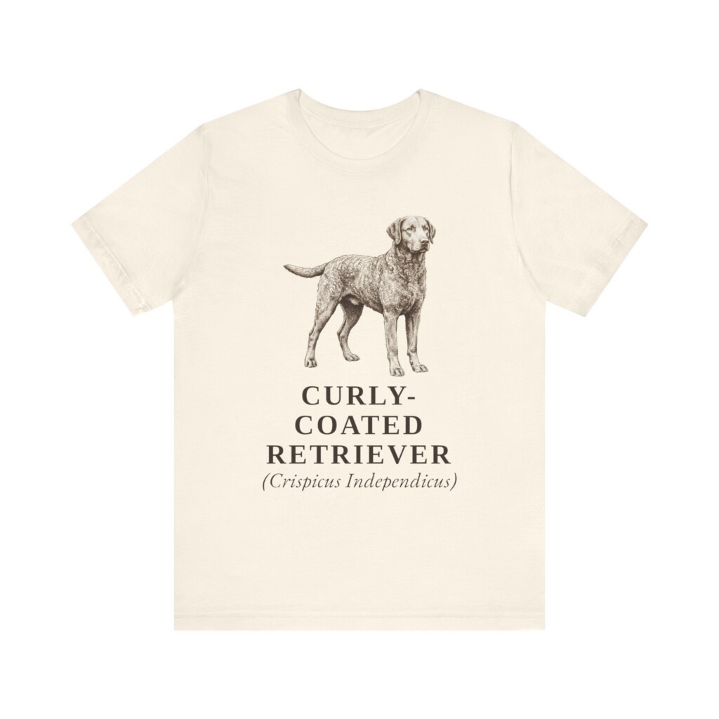 Curly-Coated Retriever Latin Shirt, Vintage Dog Sketch Tee, Dog Latin Gift Curly-Coated Retriever Latin Shirt, Vintage Dog Sketch Tee, Dog Latin Gift