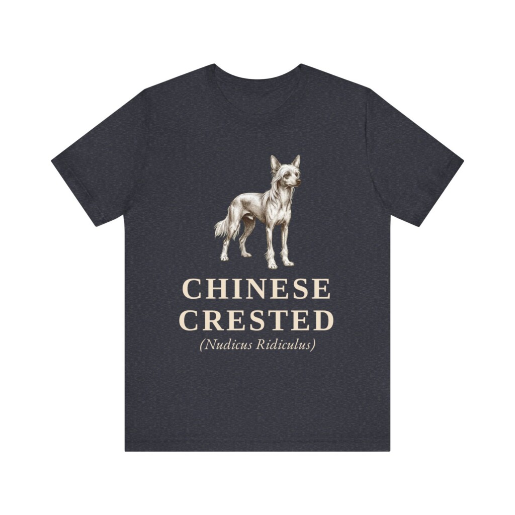 Chinese Crested Latin Shirt, Vintage Dog Sketch Tee, Dog Latin Gift