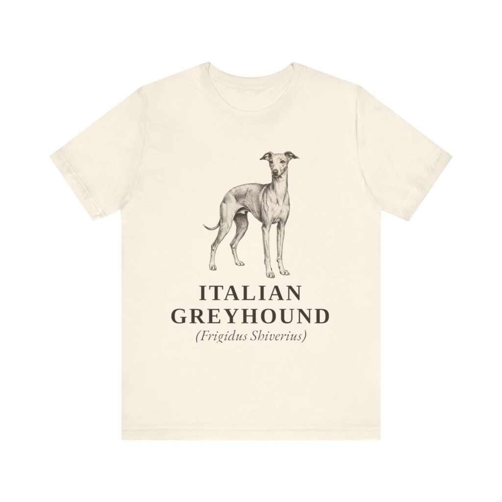 Italian Greyhound Latin Shirt, Vintage Dog Sketch Tee, Dog Latin Gift