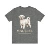 Maltese Latin Shirt, Vintage Dog Sketch Tee, Dog Latin Gift
