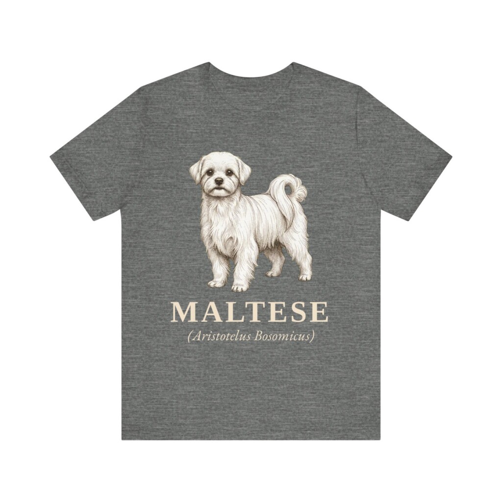Maltese Latin Shirt, Vintage Dog Sketch Tee, Dog Latin Gift