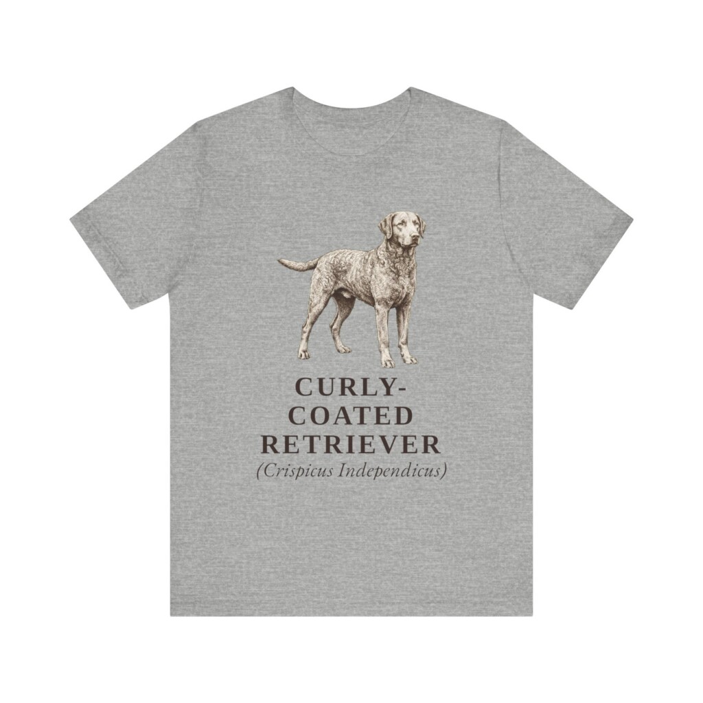 Curly-Coated Retriever Latin Shirt, Vintage Dog Sketch Tee, Dog Latin Gift Curly-Coated Retriever Latin Shirt, Vintage Dog Sketch Tee, Dog Latin Gift
