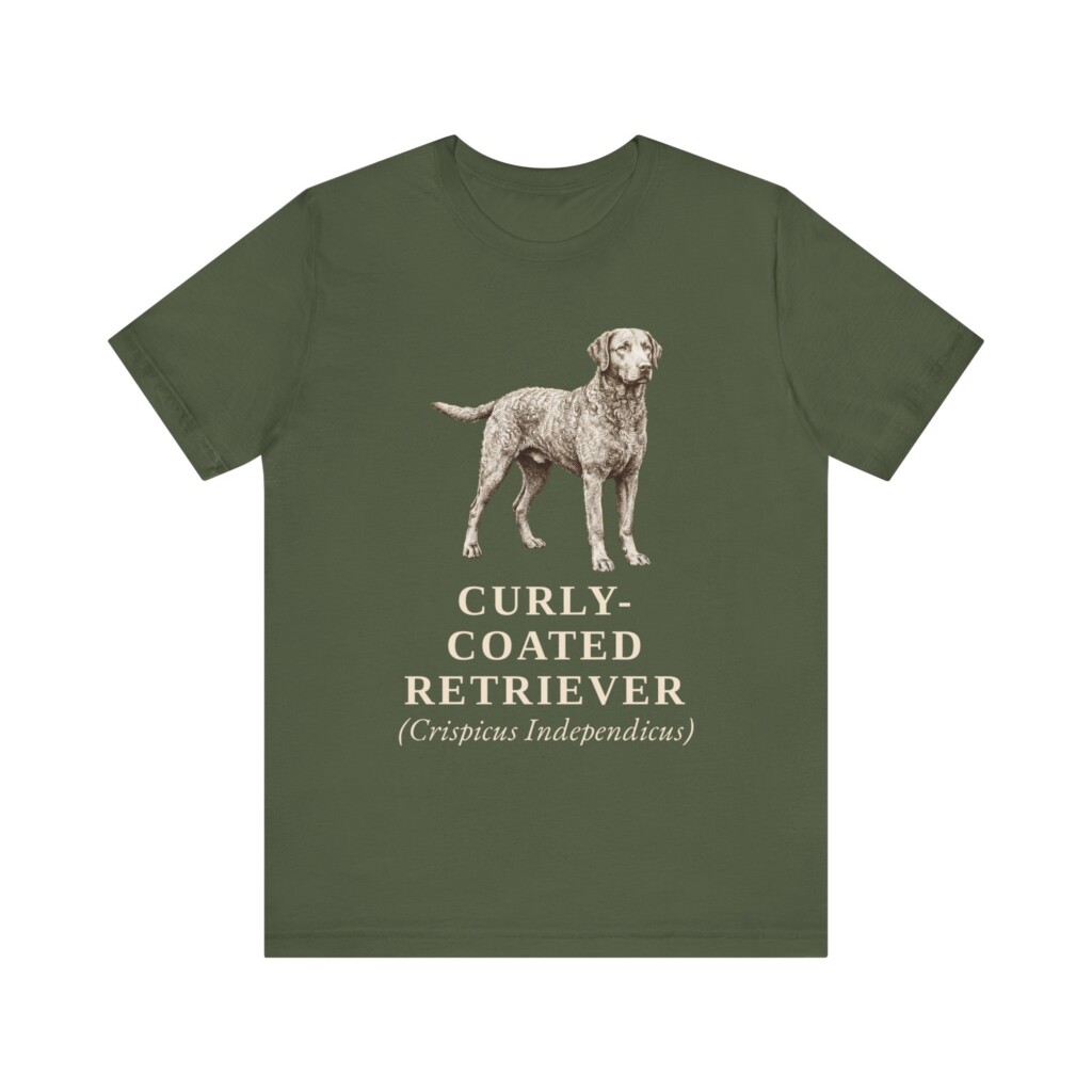 Curly-Coated Retriever Latin Shirt, Vintage Dog Sketch Tee, Dog Latin Gift Curly-Coated Retriever Latin Shirt, Vintage Dog Sketch Tee, Dog Latin Gift