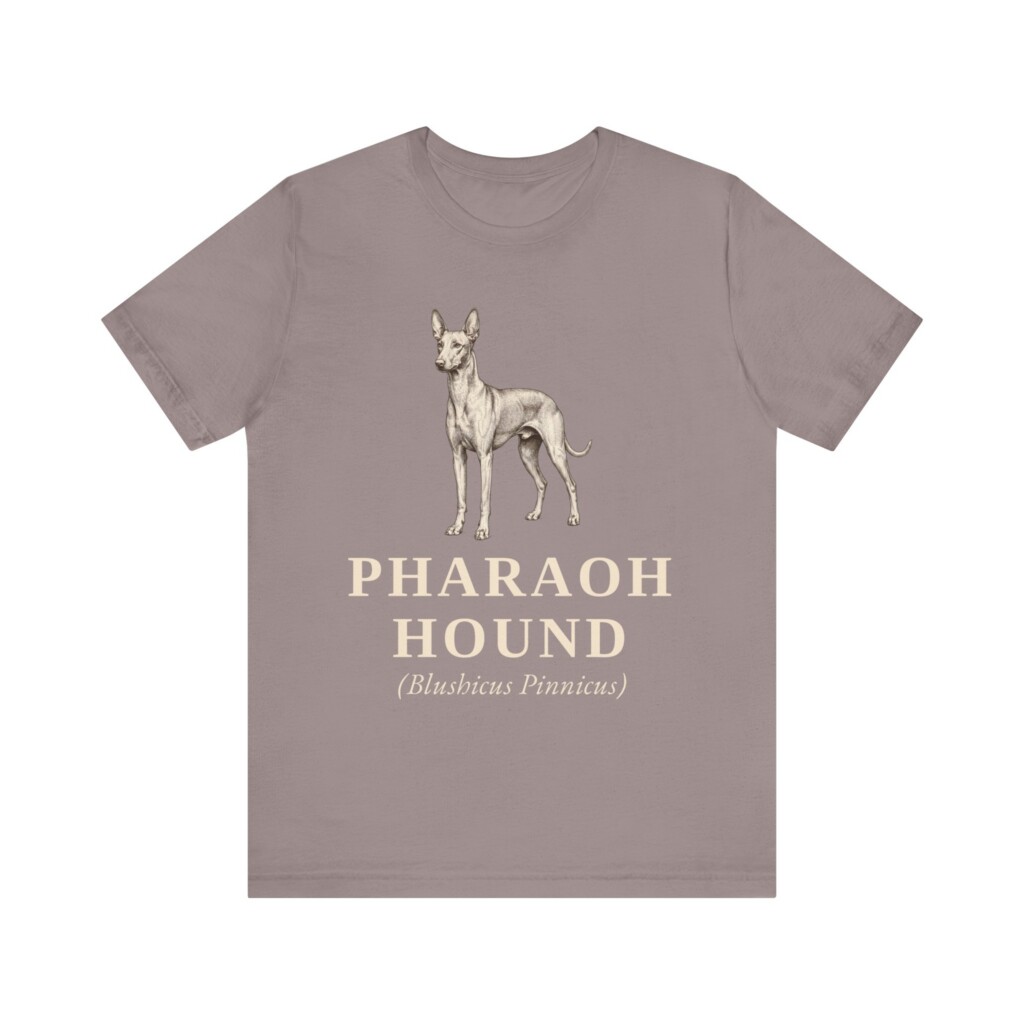 Pharaoh Hound Latin Shirt, Vintage Dog Sketch Tee, Dog Latin Gift