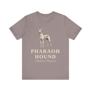Pharaoh Hound Latin Shirt, Vintage Dog Sketch Tee, Dog Latin Gift