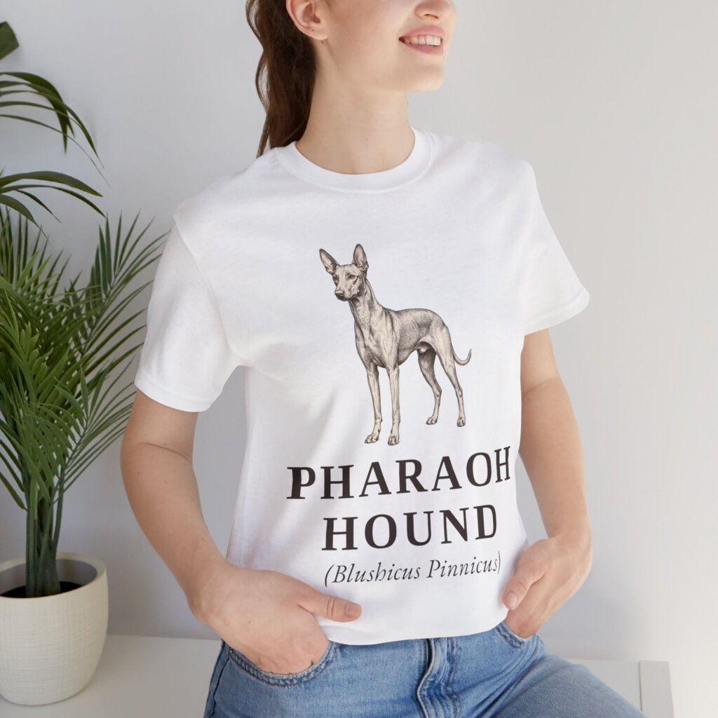 Pharaoh Hound Latin Shirt, Vintage Dog Sketch Tee, Dog Latin Gift