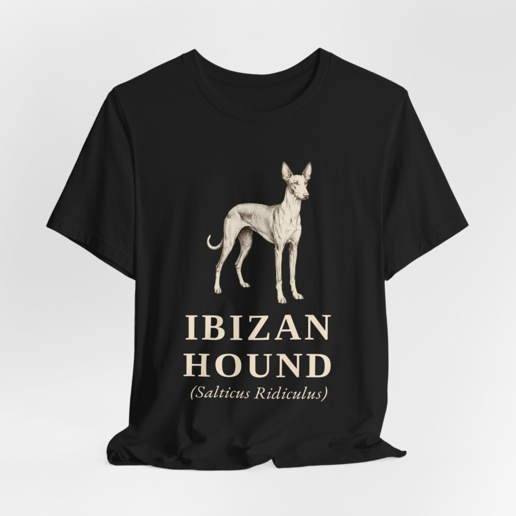 Ibizan Hound Latin Shirt, Vintage Dog Sketch Tee, Dog Latin Gift Ibizan Hound Latin Shirt, Vintage Dog Sketch Tee, Dog Latin Gift
