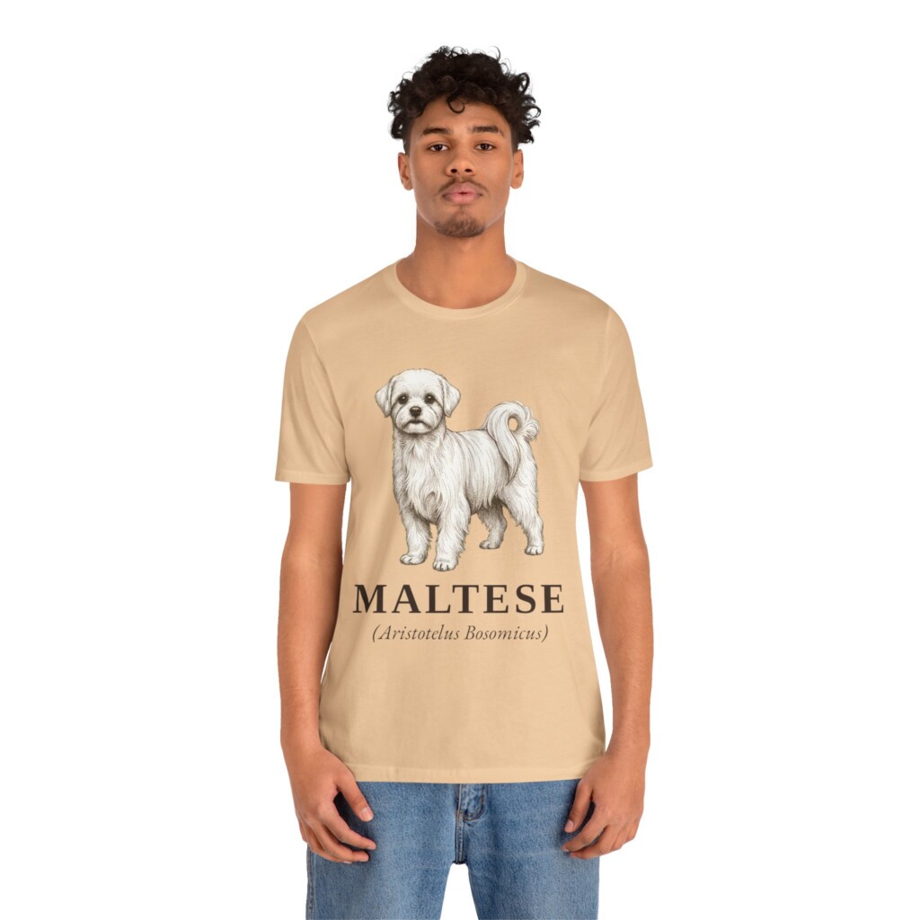 Maltese Latin Shirt, Vintage Dog Sketch Tee, Dog Latin Gift