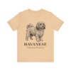 Havanese Latin Shirt, Vintage Dog Sketch Tee, Dog Latin Gift Havanese Latin Shirt, Vintage Dog Sketch Tee, Dog Latin Gift
