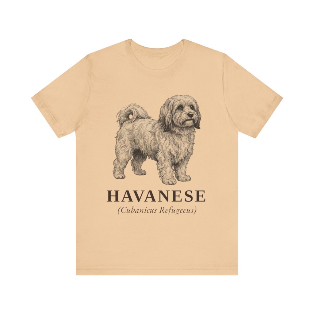 Havanese Latin Shirt, Vintage Dog Sketch Tee, Dog Latin Gift Havanese Latin Shirt, Vintage Dog Sketch Tee, Dog Latin Gift