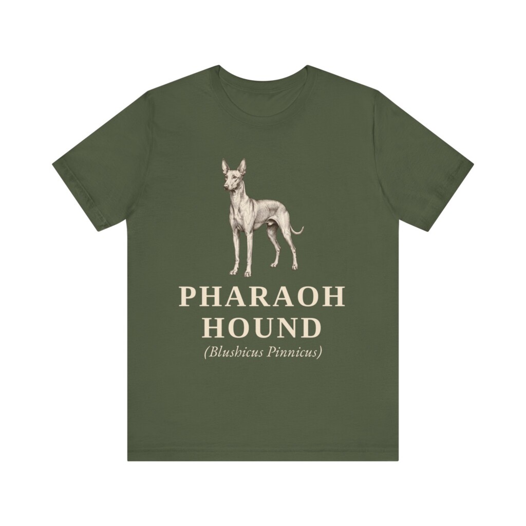 Pharaoh Hound Latin Shirt, Vintage Dog Sketch Tee, Dog Latin Gift