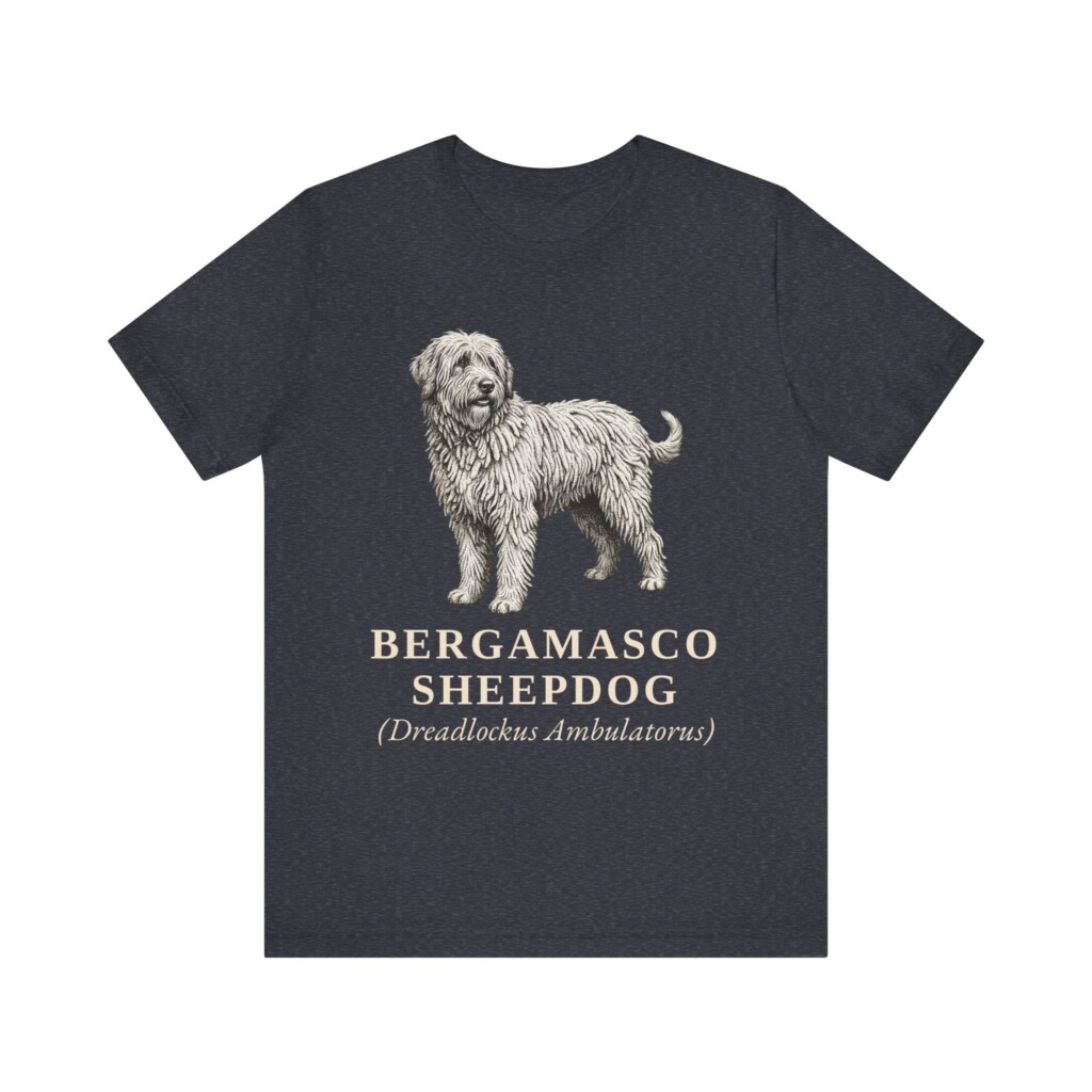 Bergamasco Sheepdog Latin Shirt, Vintage Dog Sketch Tee, Dog Latin Gift