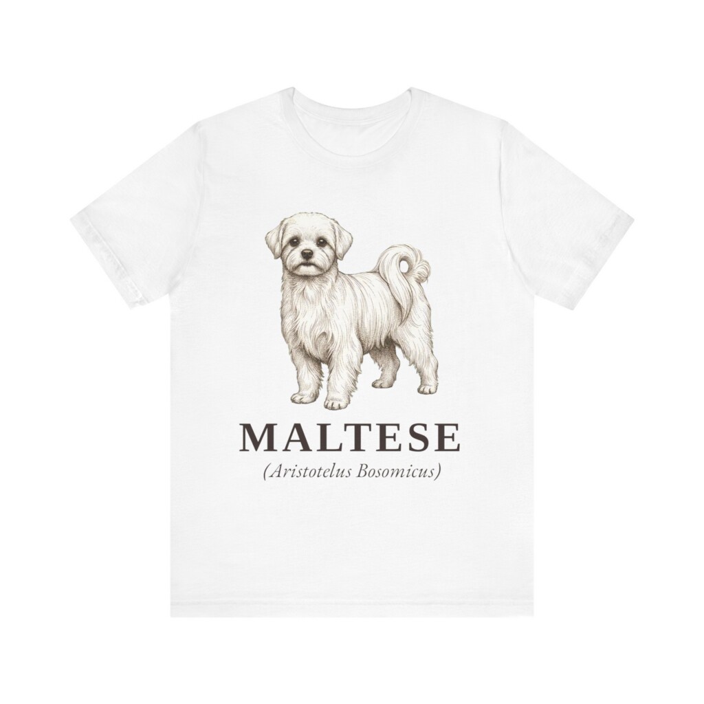 Maltese Latin Shirt, Vintage Dog Sketch Tee, Dog Latin Gift