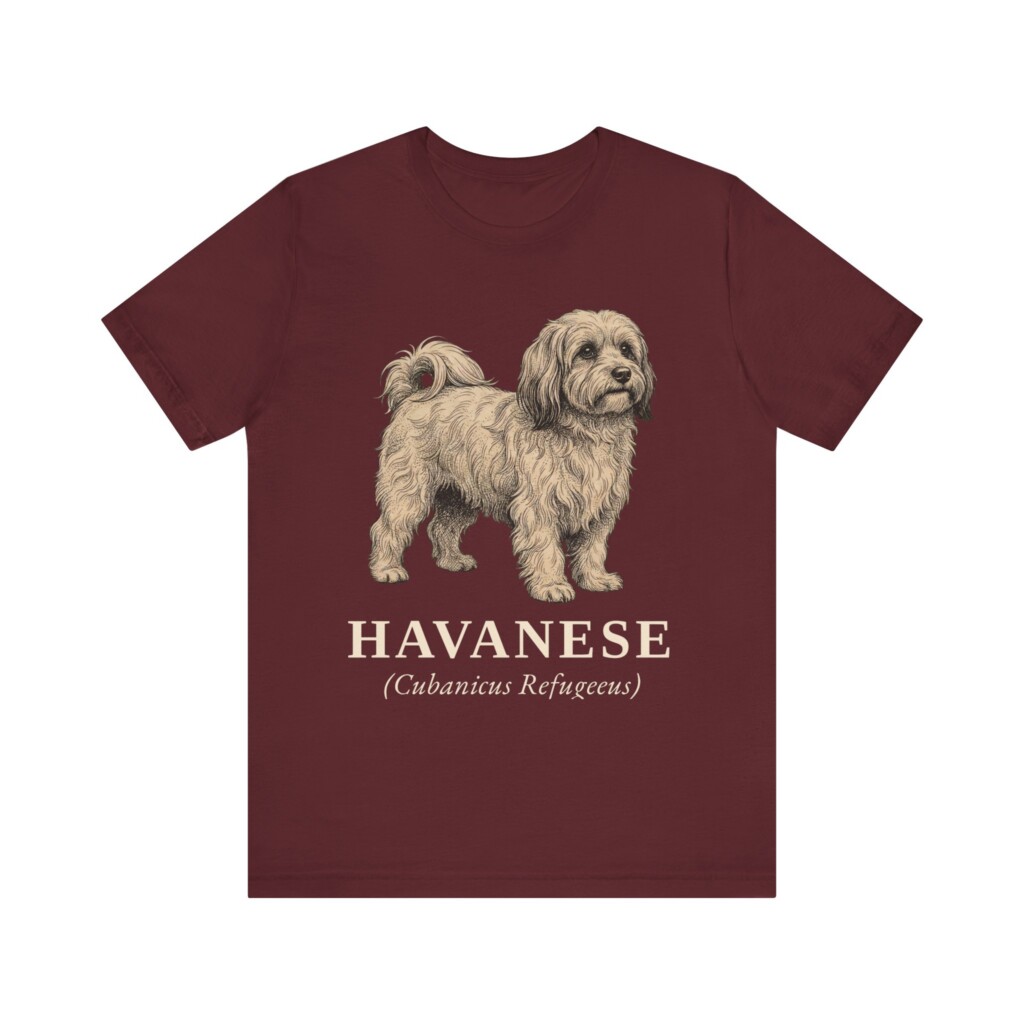 Havanese Latin Shirt, Vintage Dog Sketch Tee, Dog Latin Gift Havanese Latin Shirt, Vintage Dog Sketch Tee, Dog Latin Gift