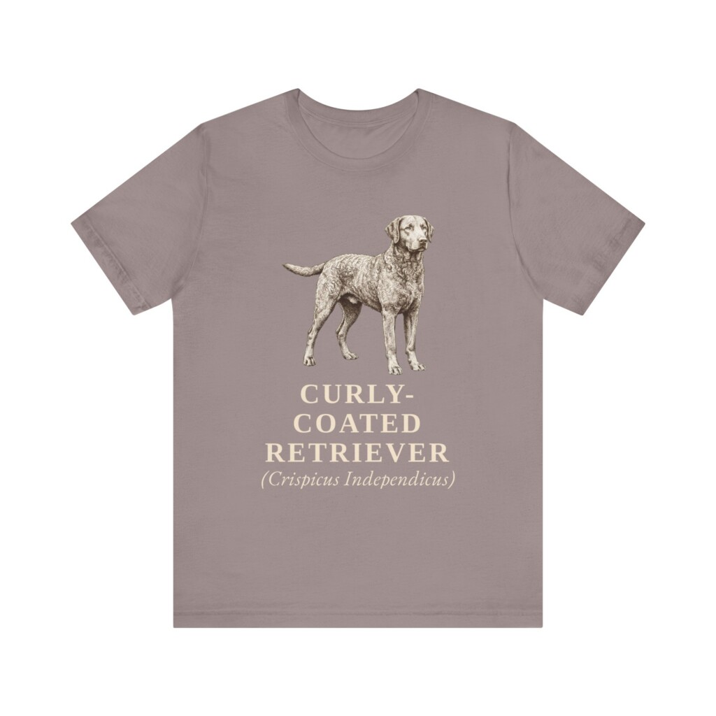 Curly-Coated Retriever Latin Shirt, Vintage Dog Sketch Tee, Dog Latin Gift Curly-Coated Retriever Latin Shirt, Vintage Dog Sketch Tee, Dog Latin Gift