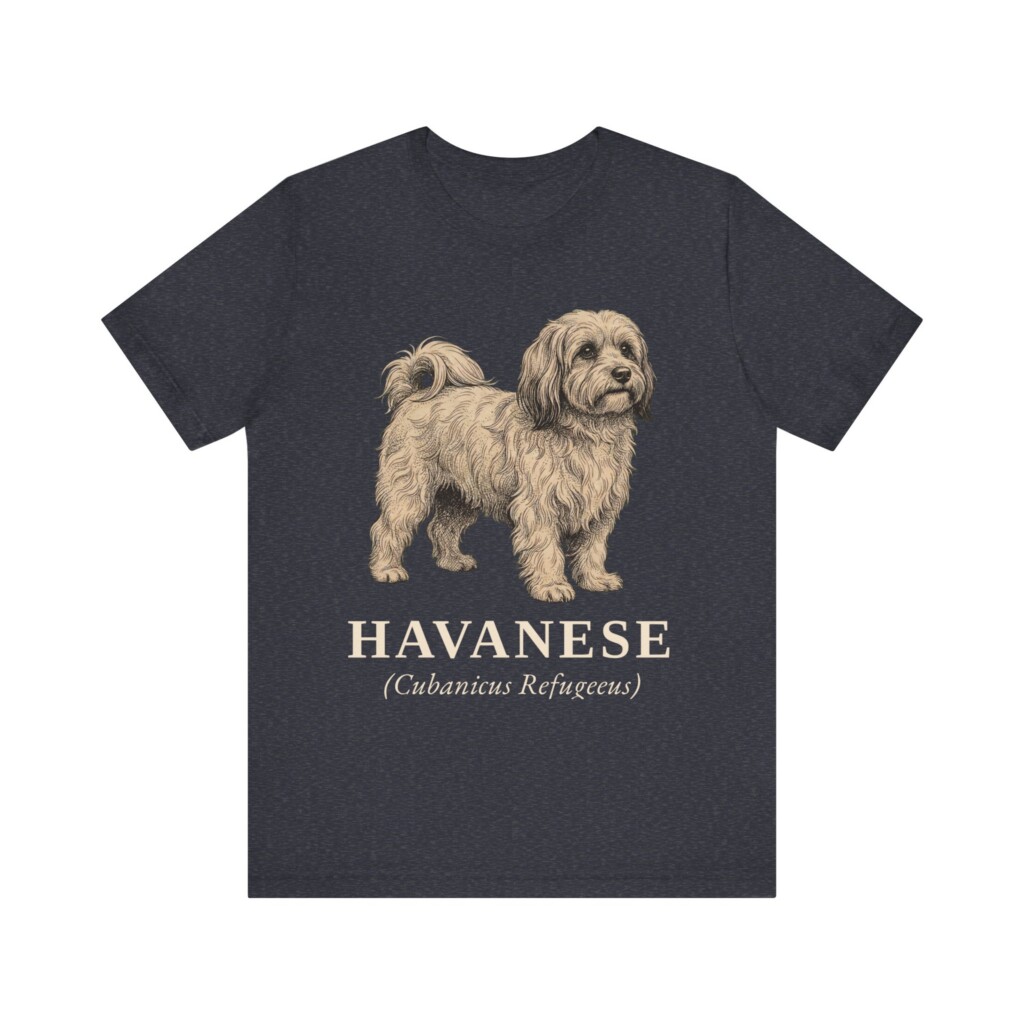 Havanese Latin Shirt, Vintage Dog Sketch Tee, Dog Latin Gift Havanese Latin Shirt, Vintage Dog Sketch Tee, Dog Latin Gift