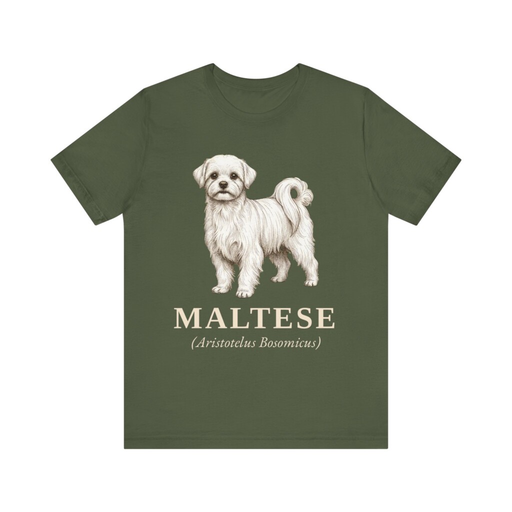 Maltese Latin Shirt, Vintage Dog Sketch Tee, Dog Latin Gift