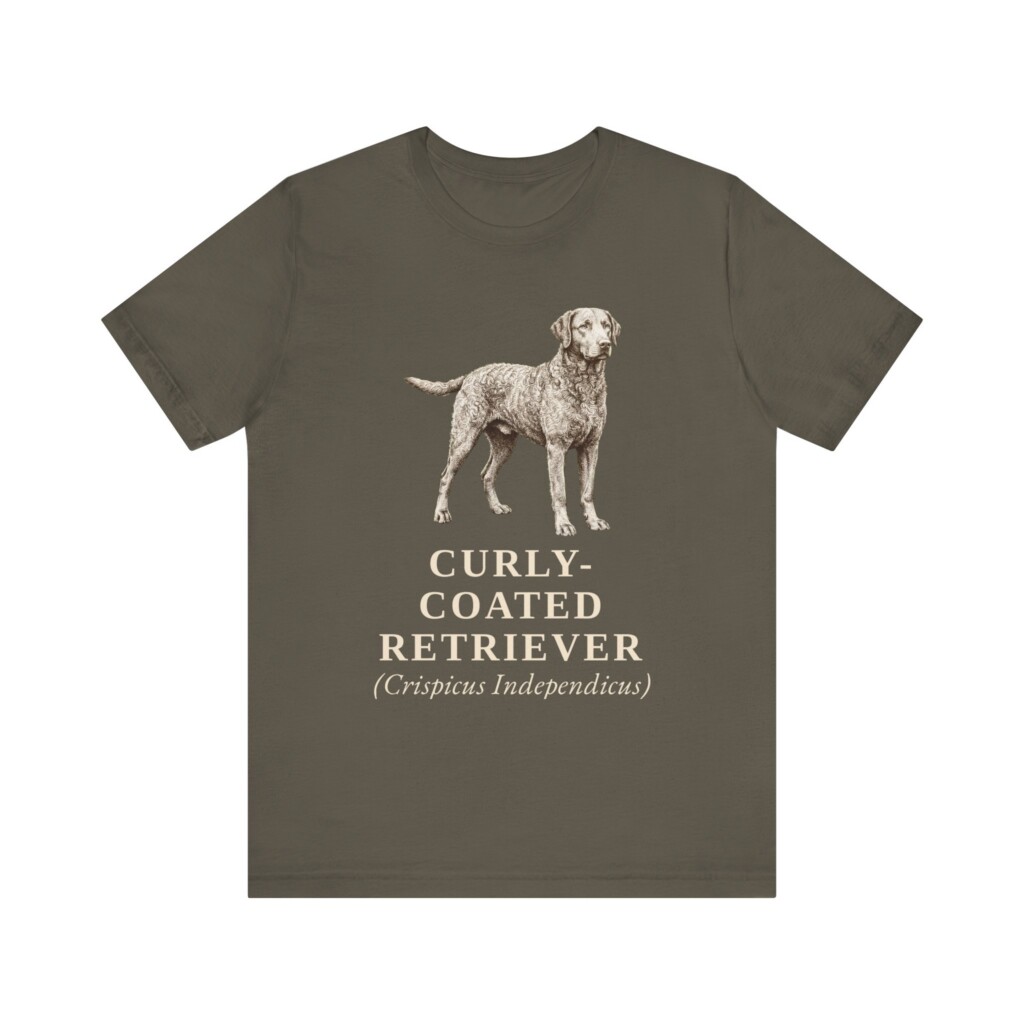 Curly-Coated Retriever Latin Shirt, Vintage Dog Sketch Tee, Dog Latin Gift Curly-Coated Retriever Latin Shirt, Vintage Dog Sketch Tee, Dog Latin Gift