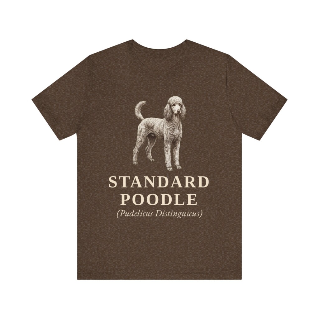 Standard Poodle Latin Shirt, Vintage Dog Sketch Tee, Dog Latin Gift