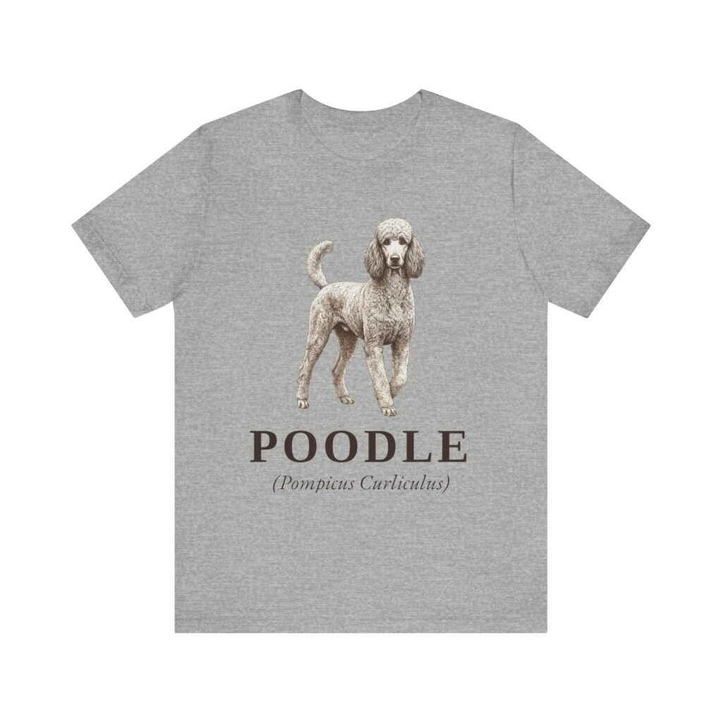 Poodle Latin Shirt, Vintage Dog Sketch Tee, Dog Latin Gift