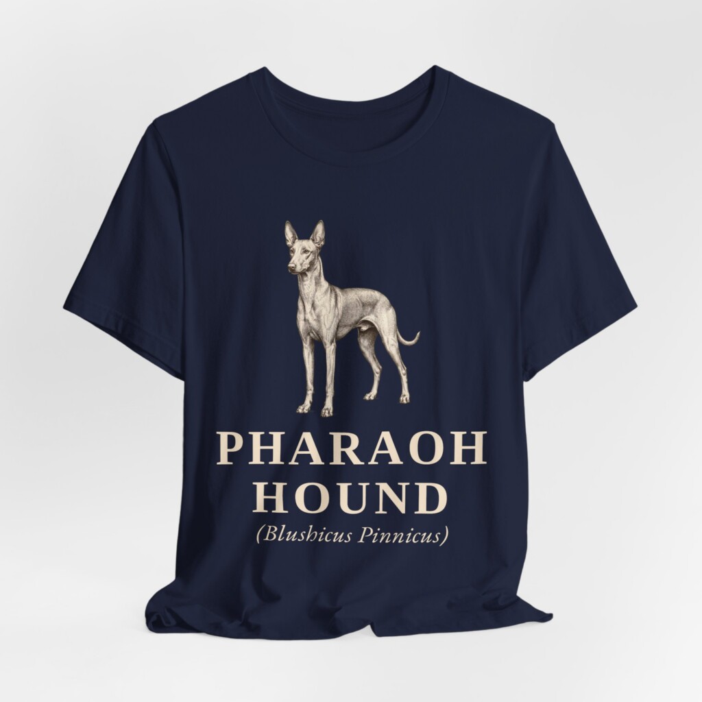Pharaoh Hound Latin Shirt, Vintage Dog Sketch Tee, Dog Latin Gift