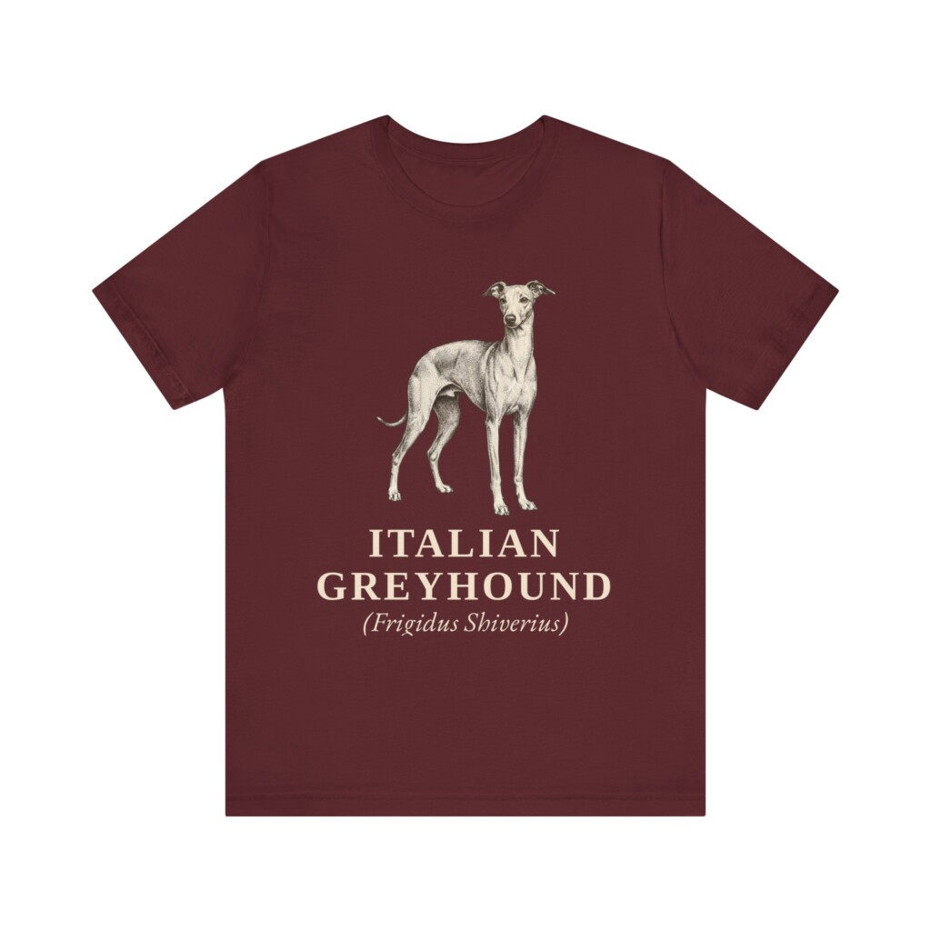 Italian Greyhound Latin Shirt, Vintage Dog Sketch Tee, Dog Latin Gift