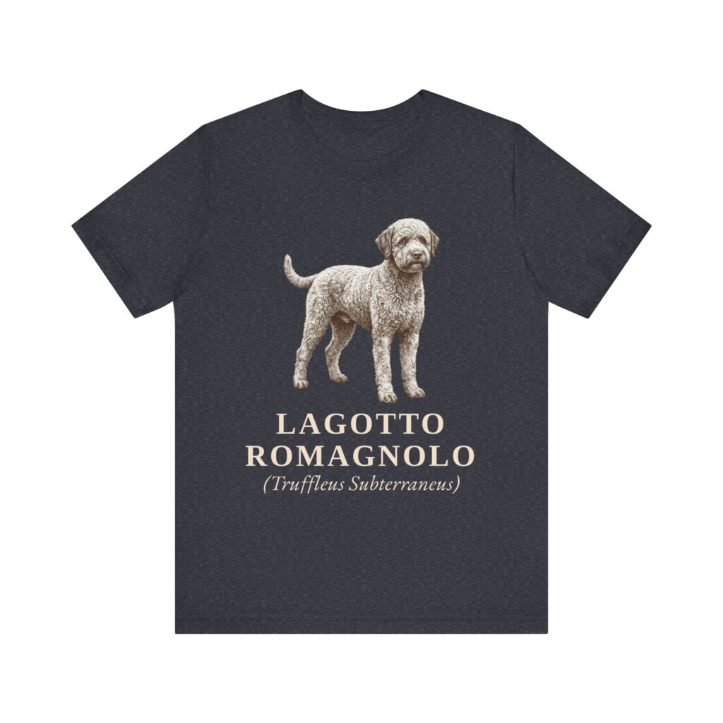 Lagotto Romagnolo Latin Shirt, Vintage Dog Sketch Tee, Dog Latin Gift
