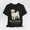 Maltese Latin Shirt, Vintage Dog Sketch Tee, Dog Latin Gift