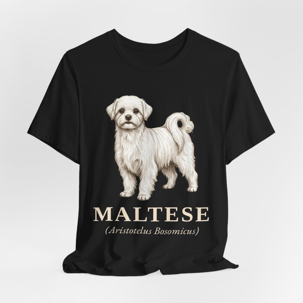 Maltese Latin Shirt, Vintage Dog Sketch Tee, Dog Latin Gift