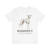 Whippet Latin Shirt, Vintage Dog Sketch Tee, Dog Latin Gift