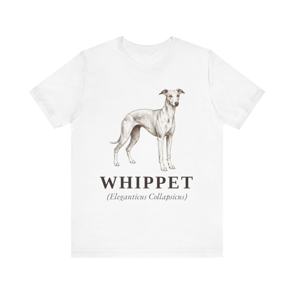 Whippet Latin Shirt, Vintage Dog Sketch Tee, Dog Latin Gift
