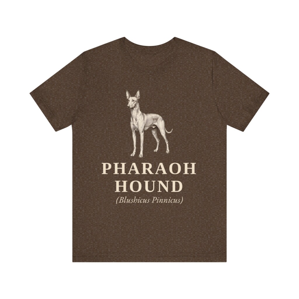 Pharaoh Hound Latin Shirt, Vintage Dog Sketch Tee, Dog Latin Gift