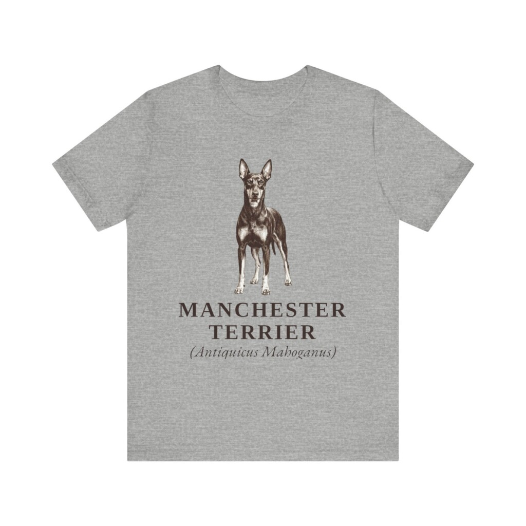 Manchester Terrier Latin Shirt, Vintage Dog Sketch Tee, Dog Latin Gift